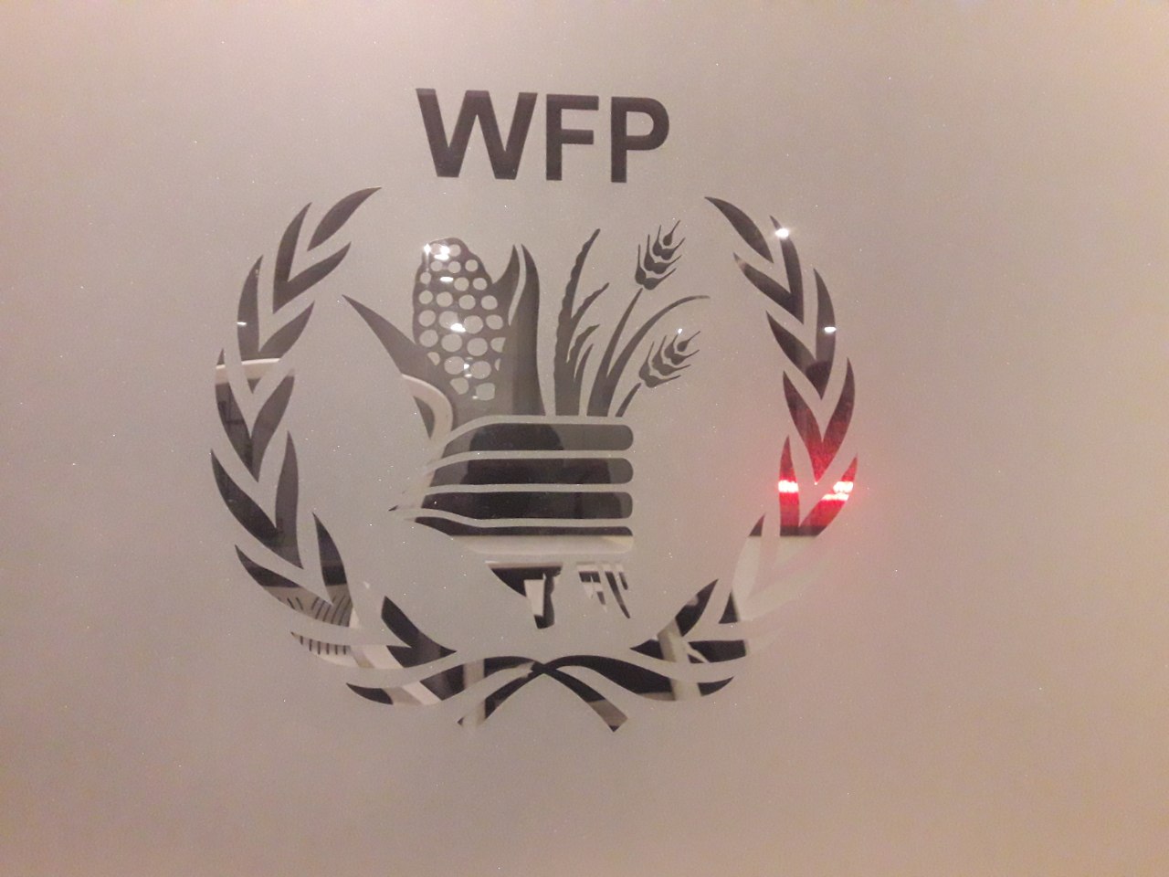WFP Office Frosting and Rebrand